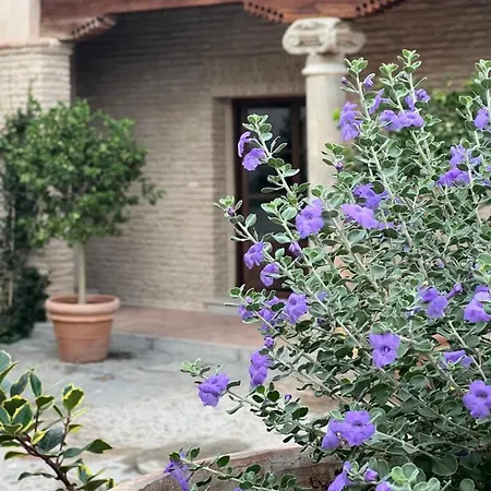Casa Del Armiño Mansión De La Familia De El Greco Villa